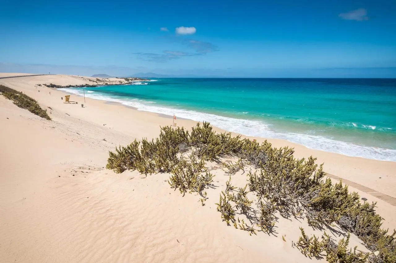 Home2Book Hola Rolls Corralejo Center Apartment